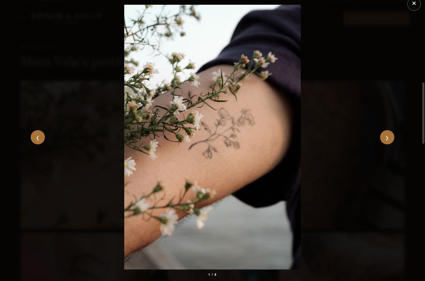 Ember Studio responsive portfolio lightbox